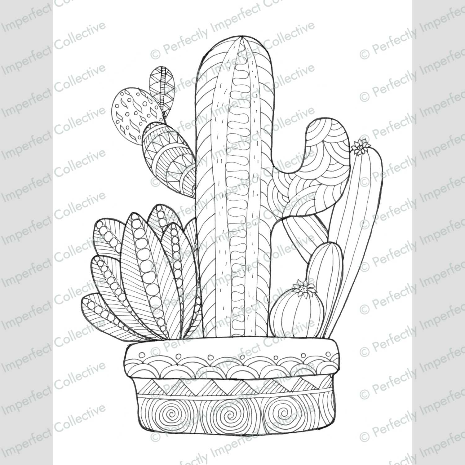 Cactus