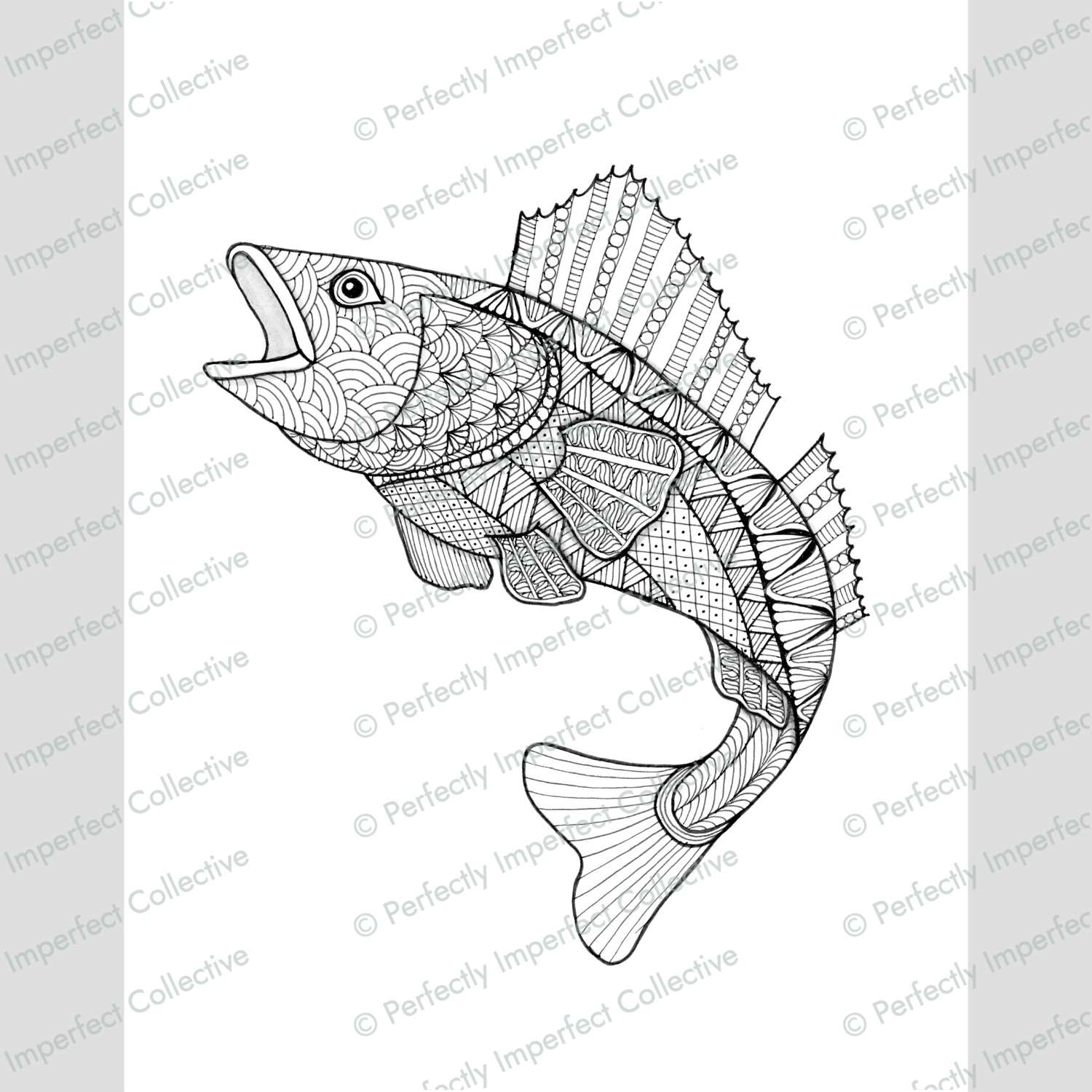 MN State Fish: Walleye